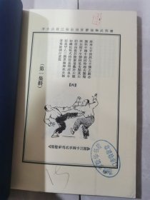 古拳谱系列武术丛书：少林破壁