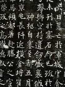 102214、千唐志斋精品：横野军副使樊庭观墓志拓片，墨拓部分68厘米，晋州襄陵县主簿宋务静撰文，仅此一张，所见即所得！ 志主南阳人也，其先出自有周仲山甫，封于樊地，因地为姓。曾祖樊㓻，隋汾州平遥县令，祖樊后裔，皇贝州司户参军事，父樊贞，邢州沙河县令。 志主樊庭观以明经擢第，释褐授昭武校尉，次授□州交水府别将，次授越州浦阳府右果毅都尉，次应举及第，授河南府怀音府右果毅都尉，次