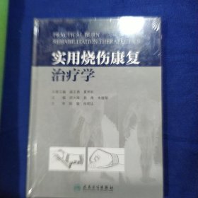 实用烧伤康复治疗学（精装本）(包销2000)