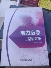 電力應急指揮決策