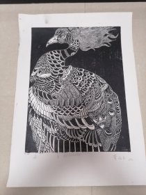 鸟