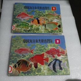 中国海洋鱼类原色图集(1-2)：Atlas of the sea fishes of China in live colour Volume