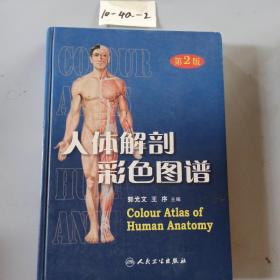 人体解剖彩色图谱