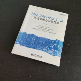 IBM Informix 11.x系统管理与开发指南