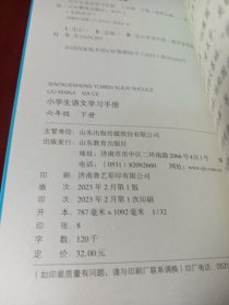 名师伴学：小学生语文学习手册（六年级上、下册）【正版全新无塑封】（总价68元 现价39.99元）（2）