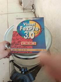Visual FoxPro 3.0命令篇