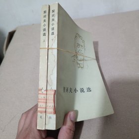 契诃夫小说选 上下，