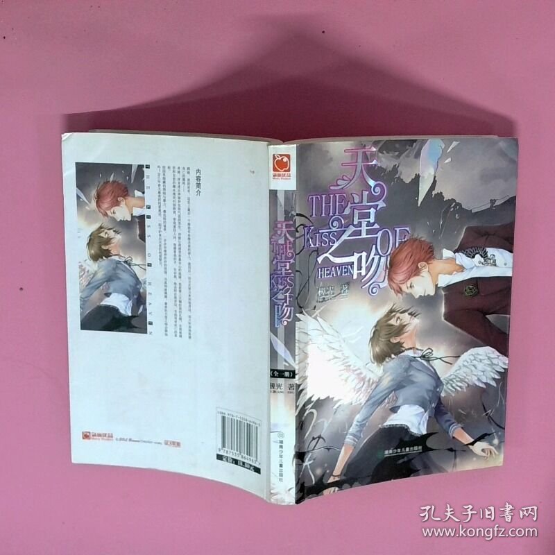正版二手图书天堂之吻实拍图当天发货