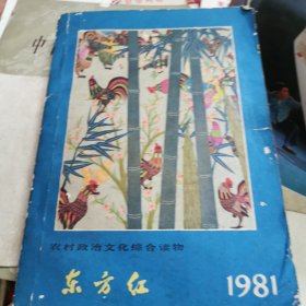 东方红1981