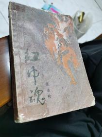 红巾魂  上传了内容题要，1925年国共合作时期东征为背景