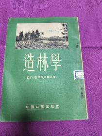 造林学