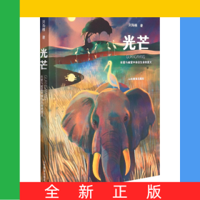 光芒(在爱与被爱中体会生命的意义)