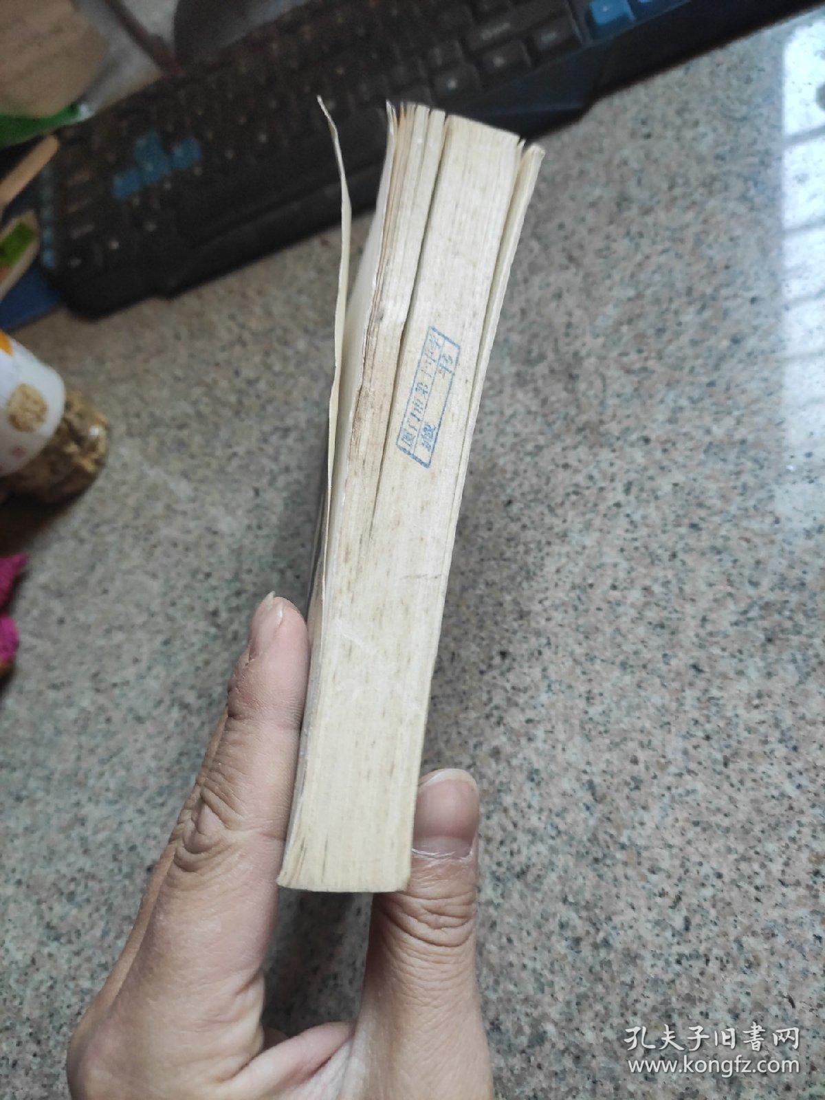 造化:布老虎丛书 长篇小说