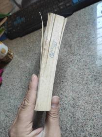 造化:布老虎丛书 长篇小说