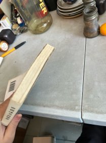 田园诗与狂想曲：关中模式与前近代社会的再认识