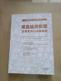 常见经济犯罪定罪量刑与办案精要