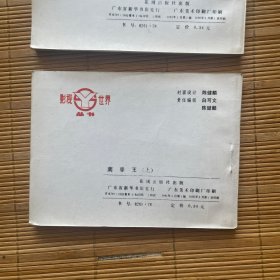 南拳王