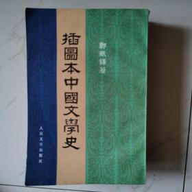 插图本中国文学史1-4册