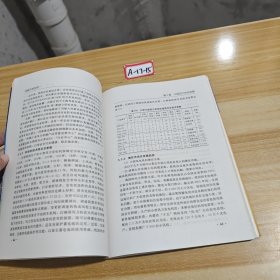 风能开发利用——21世纪可持续能源丛书