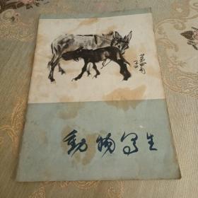 动物写生
