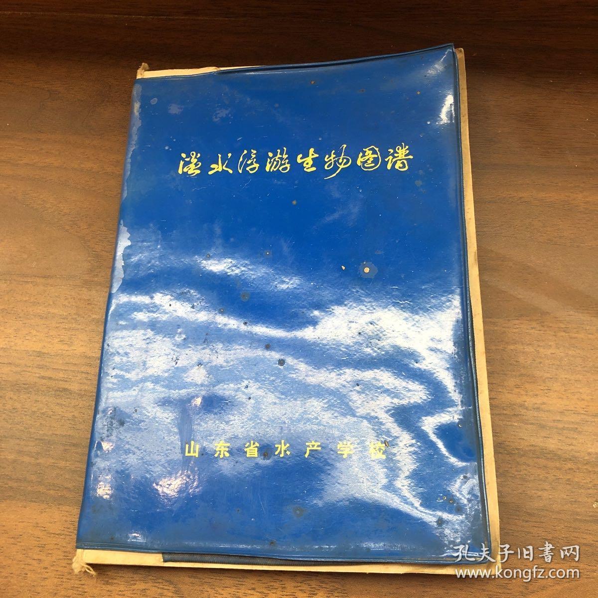 淡水浮游生物图谱