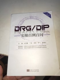 DIP实操百例百问