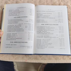 让延安精神放射出新的时代光芒全国延安精神理论副主