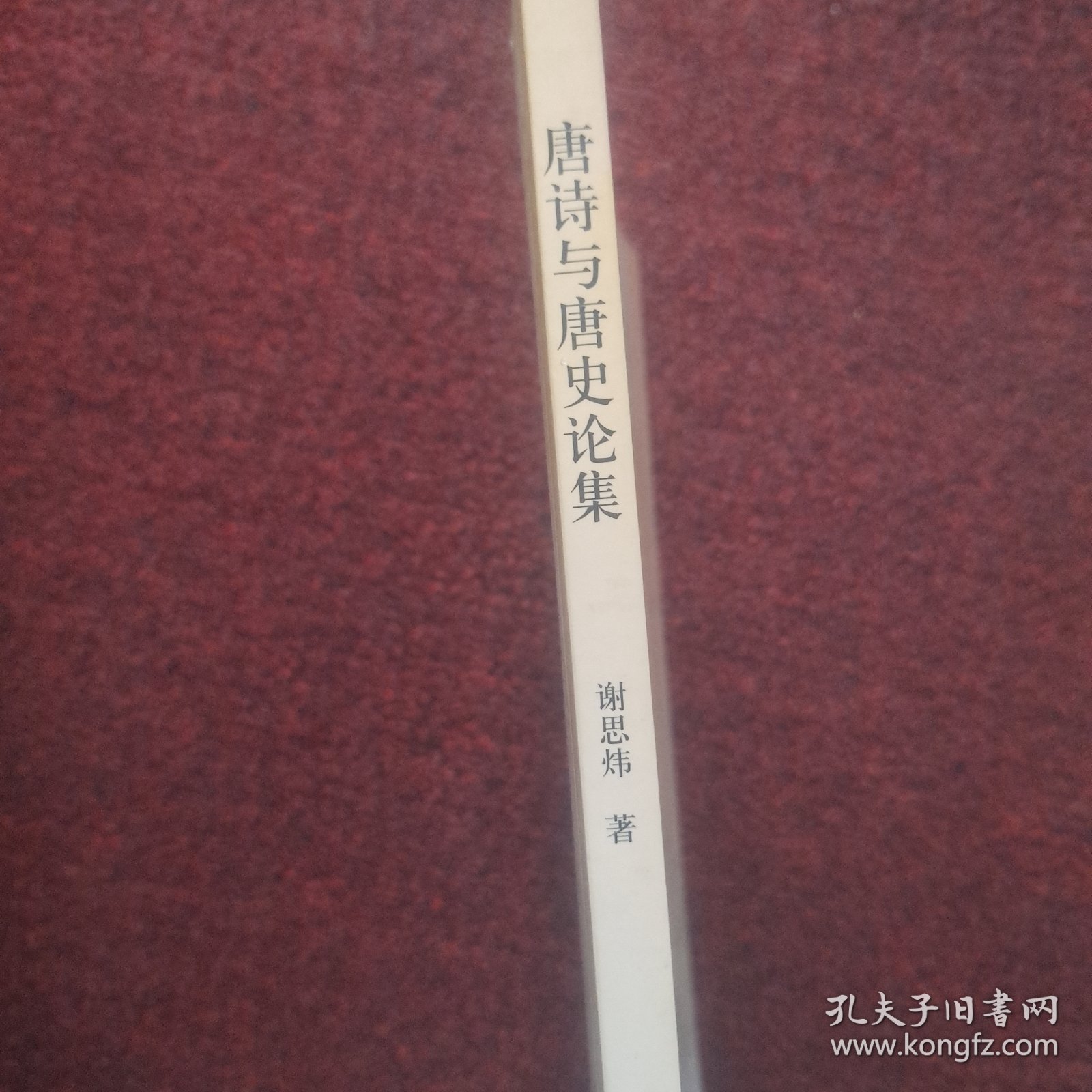 唐诗与唐史论集