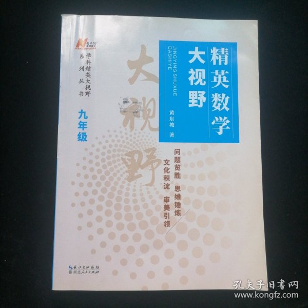 精英数学大视野九年级