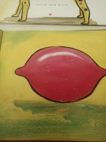 有趣的颜色（全3册）：《柠檬不是粉色的》《太阳不是绿色的》《斑点狗不是黄色的》