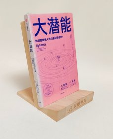 大潜能：如何借助他人的力量获得成功