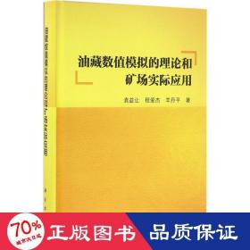 油藏数值模拟的理论和矿场实际应用