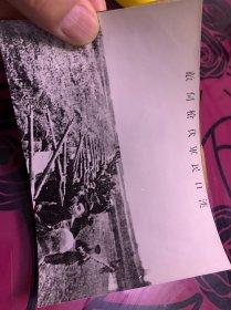 新华社六七十年代发稿照片-，汉口军民伏枪伺敌，14*10厘米