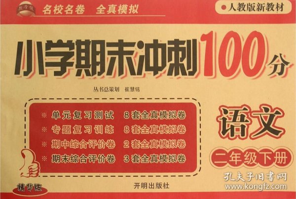 小学期末冲刺100分：语文（二年级下册 人教版新教材 精华版）