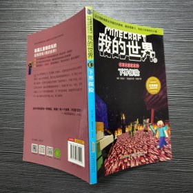 我的世界·史蒂夫冒险系列10下界探险