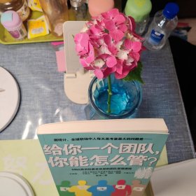 给你一个团队，你能怎么管？