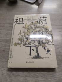 智慧宫丛书024·祖荫下：传统中国的亲属关系、人格和社会流动