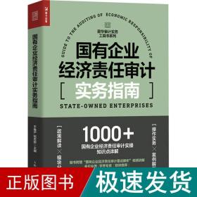 国有企业经济责任审计实务指南