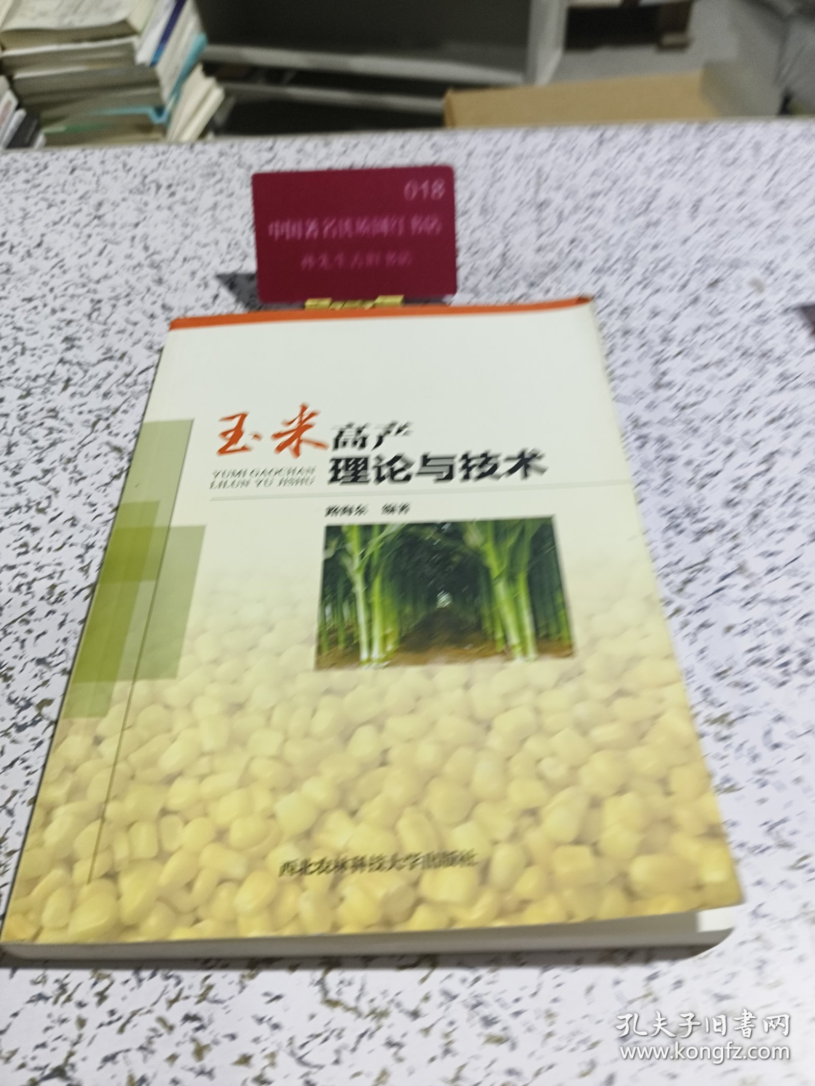 玉米高产理论与技术