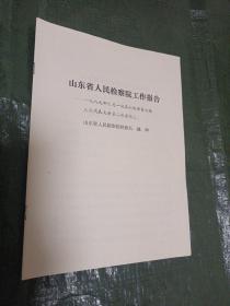 山东省人民检察院工作报告/Y上28-1