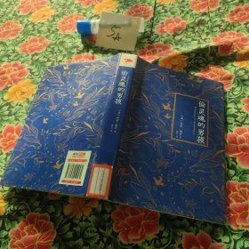 偷灵魂的男孩（精装）