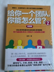 给你一个团队，你能怎么管？2 未开封