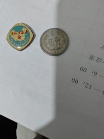 纪念章 走向大西南