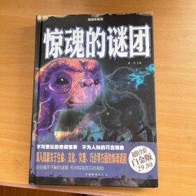 惊魂的谜团（超值全彩白金版）
