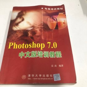 Photoshop 7.0中文版培训教程