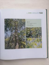 北回归线上的绿洲——广东惠东古田省级自然保护区（2021年1版1印仅印1500册）