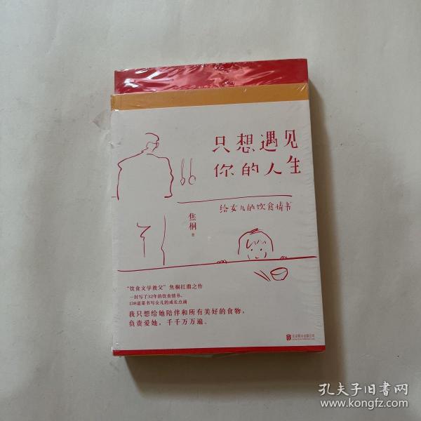 只想遇见你的人生（一封给女儿写了32年的20万字情书，台湾饮食文学教父焦桐扛鼎之作）