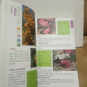 花卉圣经