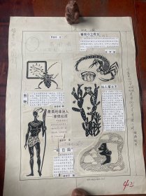 奥秘连环画原稿1张，尺寸（54*39）cm，如图。货号：奥秘K58