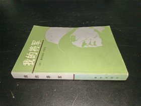 我的将军